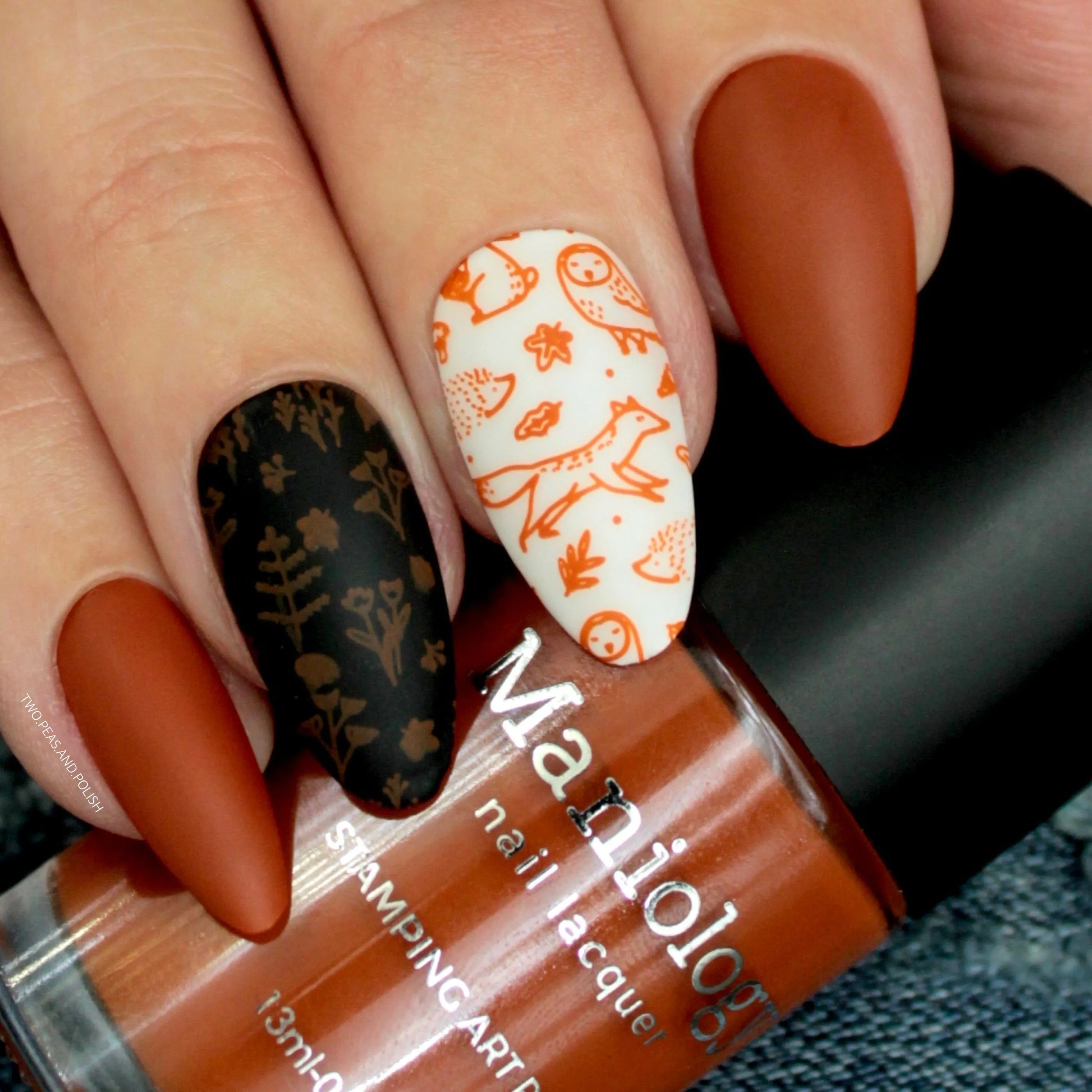 Autumn Blossom: Chrysanthemum (B302) Burnt Orange Stamping Polish