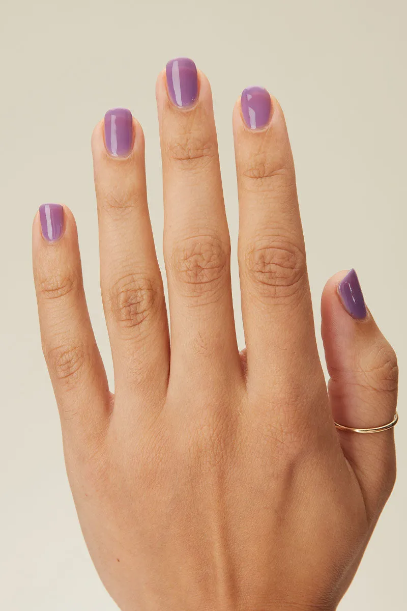 Ube Jelly